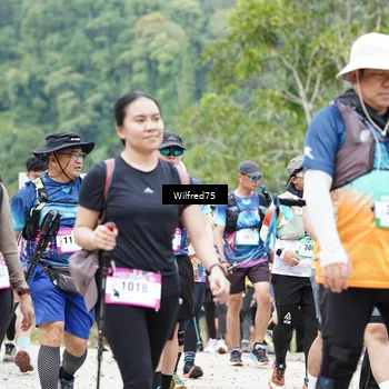 Runner Photo 5240500