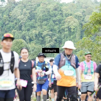 Runner Photo 5240549