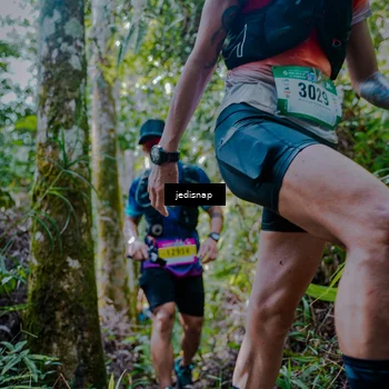 Runner Photo 5240556