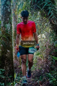 Runner Photo 5240566