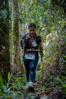 Runner Photo 5240677