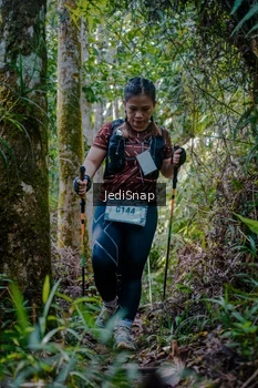 Runner Photo 5240680