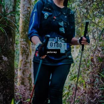Runner Photo 5240694