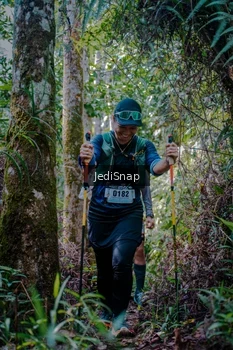 Runner Photo 5240745