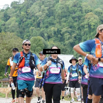 Runner Photo 5240750