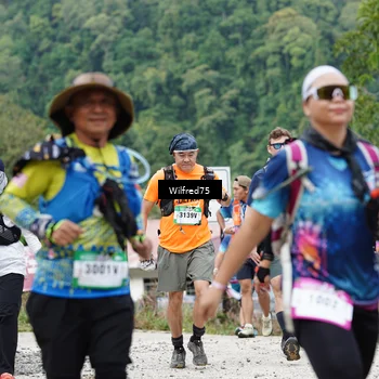 Runner Photo 5240979