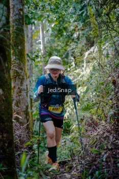Runner Photo 5241048