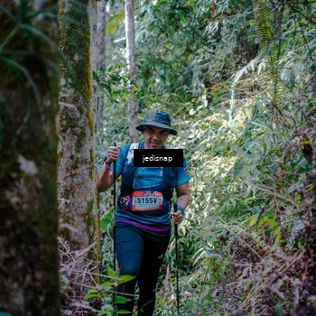 Runner Photo 5241346