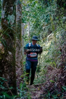 Runner Photo 5241355