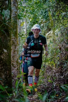 Runner Photo 5241394