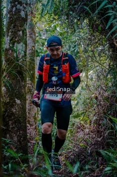 Runner Photo 5241454