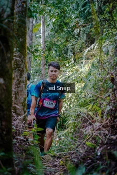 Runner Photo 5241462