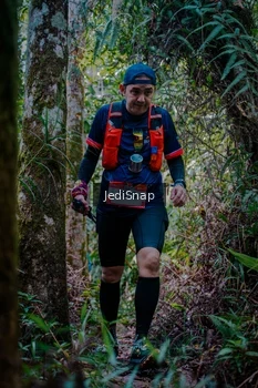 Runner Photo 5241463