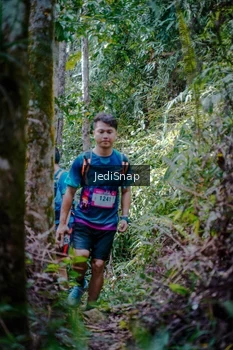 Runner Photo 5241468