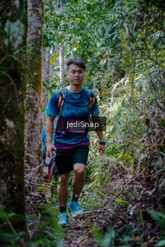 Runner Photo 5241469