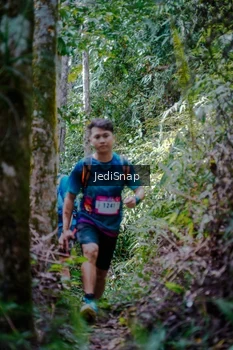 Runner Photo 5241470