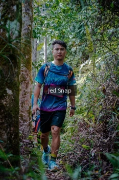 Runner Photo 5241475