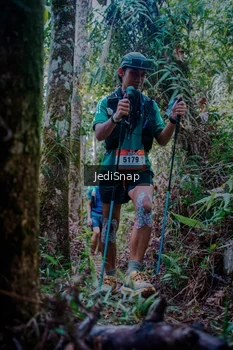Runner Photo 5241538