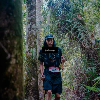 Runner Photo 5241753