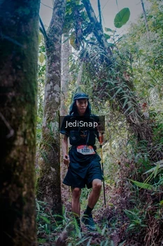 Runner Photo 5241761
