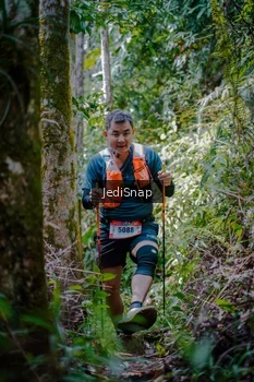 Runner Photo 5241826