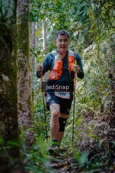 Runner Photo 5241831