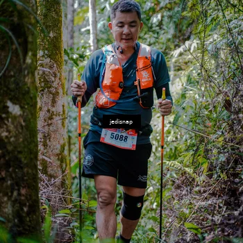 Runner Photo 5241833