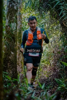 Runner Photo 5241859