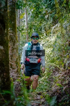 Runner Photo 5241865