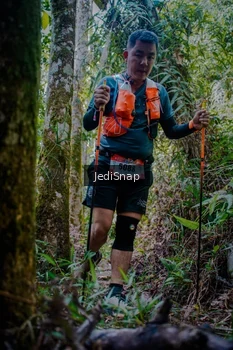 Runner Photo 5241866