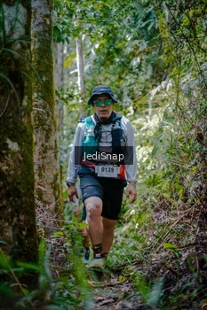 Runner Photo 5241869
