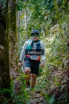 Runner Photo 5241874