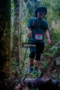 Runner Photo 5241943