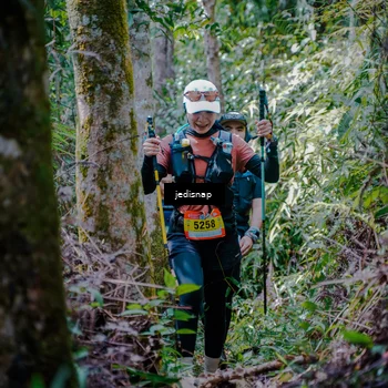 Runner Photo 5242037