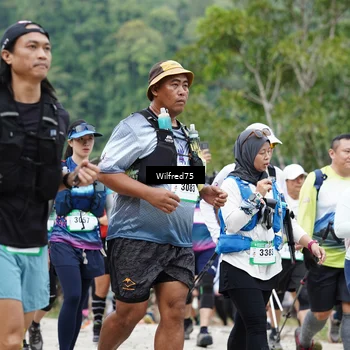 Runner Photo 5242042