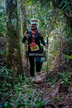 Runner Photo 5242056