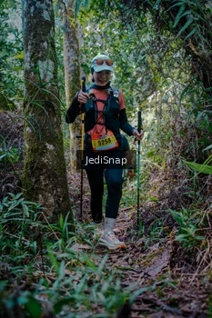 Runner Photo 5242062