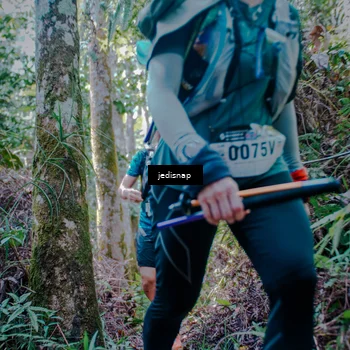 Runner Photo 5242287