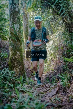 Runner Photo 5242335