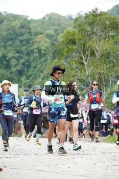 Runner Photo 5242342
