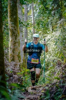 Runner Photo 5242363