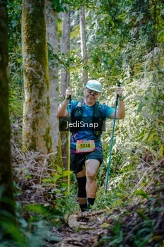 Runner Photo 5242374