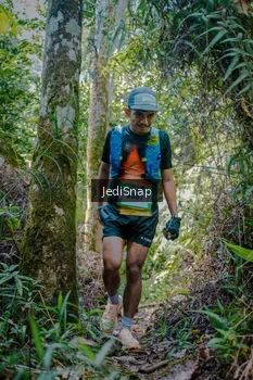 Runner Photo 5242465