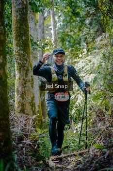 Runner Photo 5242471