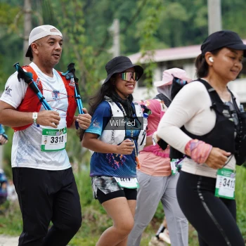 Runner Photo 5242472