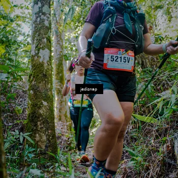 Runner Photo 5242702