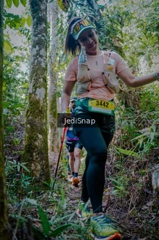 Runner Photo 5242704