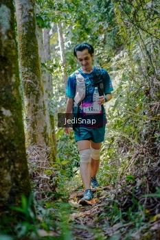 Runner Photo 5242838