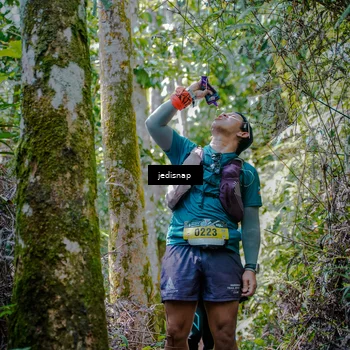 Runner Photo 5242923
