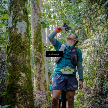 Runner Photo 5242924
